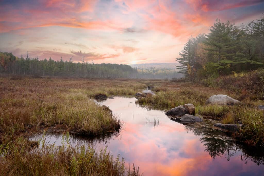 I posti migliori per sbirciare le foglie nel Maine - Baxter State Park