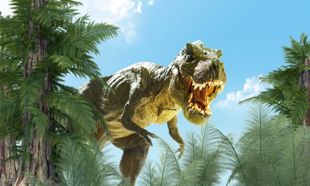 Rendering 3D di un T-rex in una foresta di palme