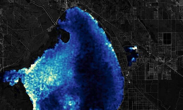 Scopri il lago più inquinato della Florida (e cosa ci vive dentro)
