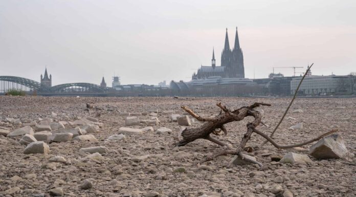 Disaster Watch: Spiegare la crisi della siccità in Europa
