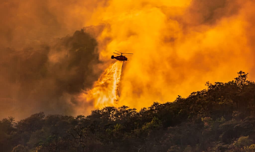 Incendio boschivo, California, fuoco - fenomeno naturale, elicottero, combustione