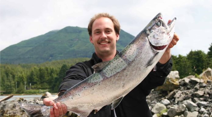 Largest Salmon - Coho Salmon