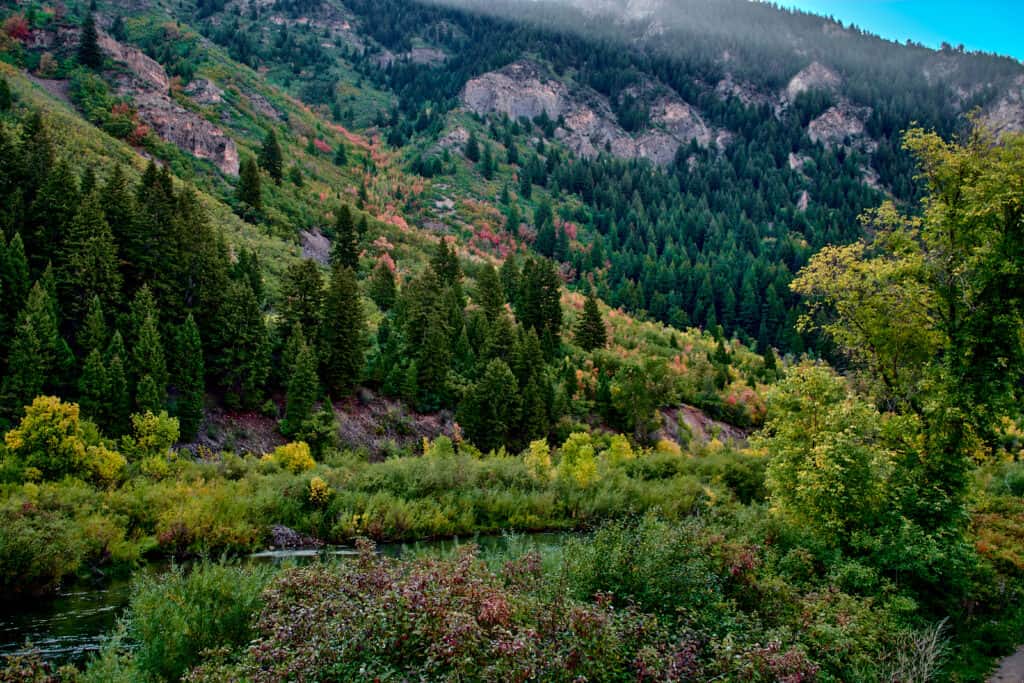 Una Mattina Presto Autunnale A Provo Canyon, Utah.