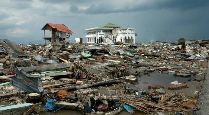 Quale Paese ha il maggior numero di terremoti e perché?
