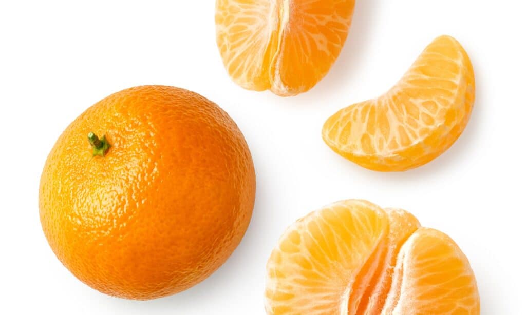 I mandarini sono un tipo di frutta considerato sicuro da mangiare per i cani.