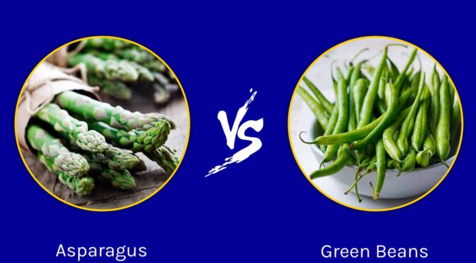 Asparagi vs fagiolini: quali sono le differenze?
