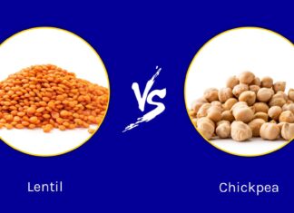 Lenticchie vs ceci: quali sono le loro differenze?
