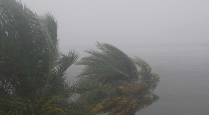 Perché la Florida ha così tanti uragani?
