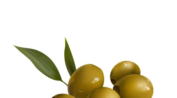  I cani possono mangiare le olive in sicurezza?  Dipende
