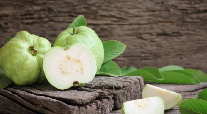 guava fruit closeup