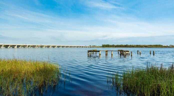 I 10 migliori luoghi di pesca in Florida quest'estate
