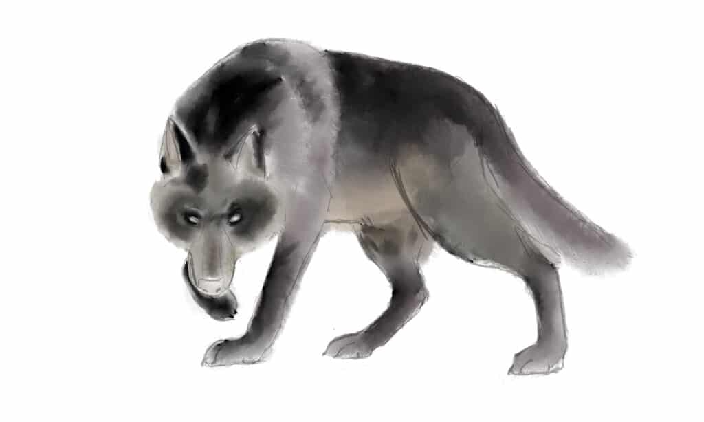 Colori di base per il disegno del lupo