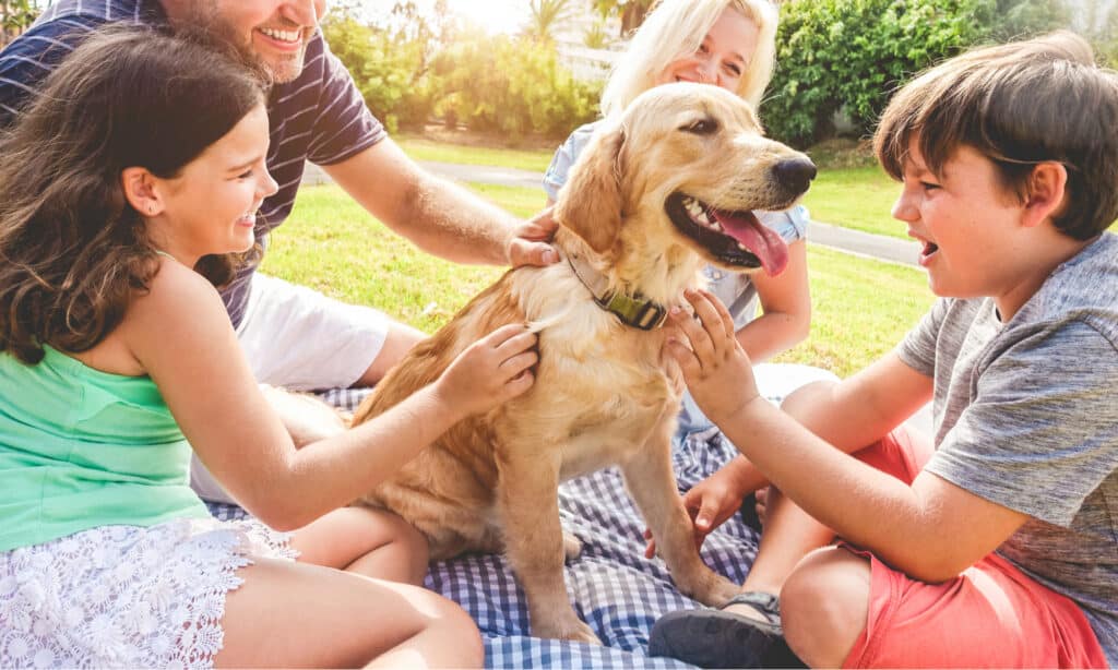 Serie Dog Park - Famiglia con cane