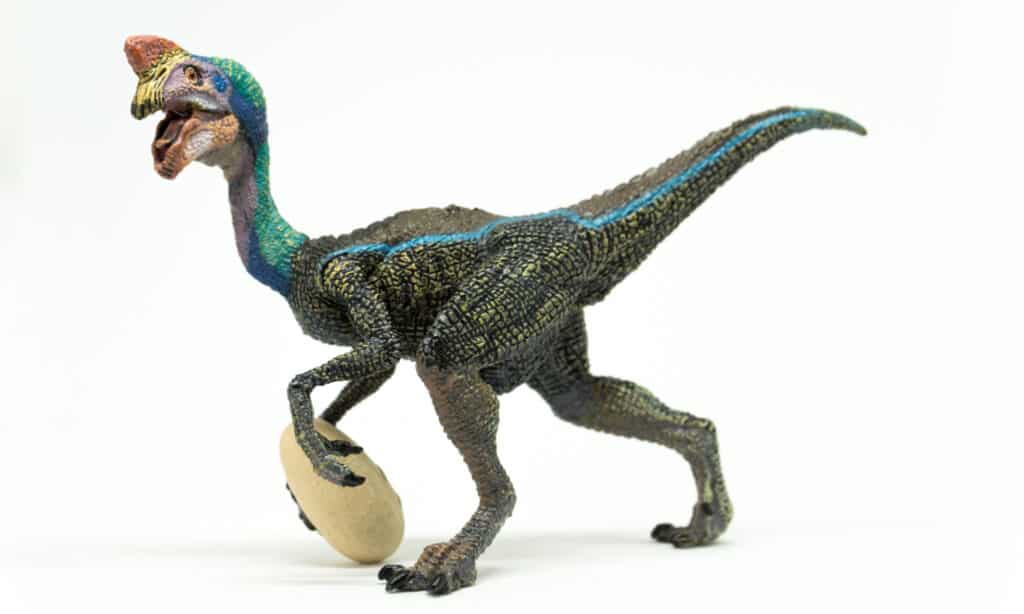 Oviraptor che tiene un uovo