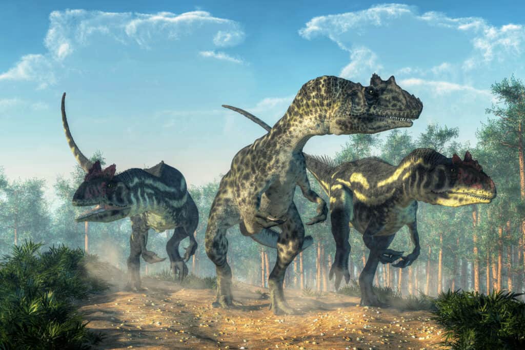 Tre allosauri che cacciano in gruppo.  I denti di Allosaurus erano affilati, simili a pugnali e lunghi da cinque a dieci centimetri.