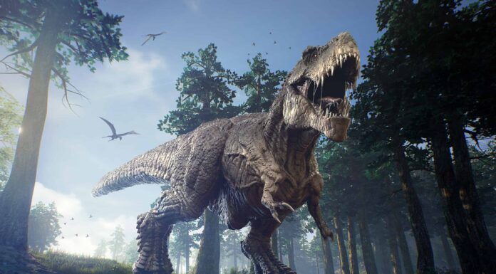 Scopri gli 8 dinosauri più intelligenti mai vissuti: guarda dove si classifica T-Rex
