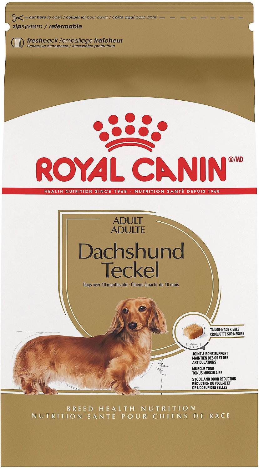 Royal Canin Breed Health Nutrition Bassotto Adulto Cibo secco per cani