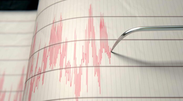 Quali Stati hanno il più alto rischio di terremoto e perché?
