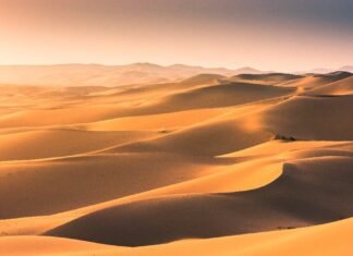 Il deserto del Gobi
