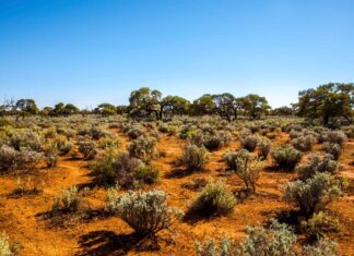 The Great Australian Desert