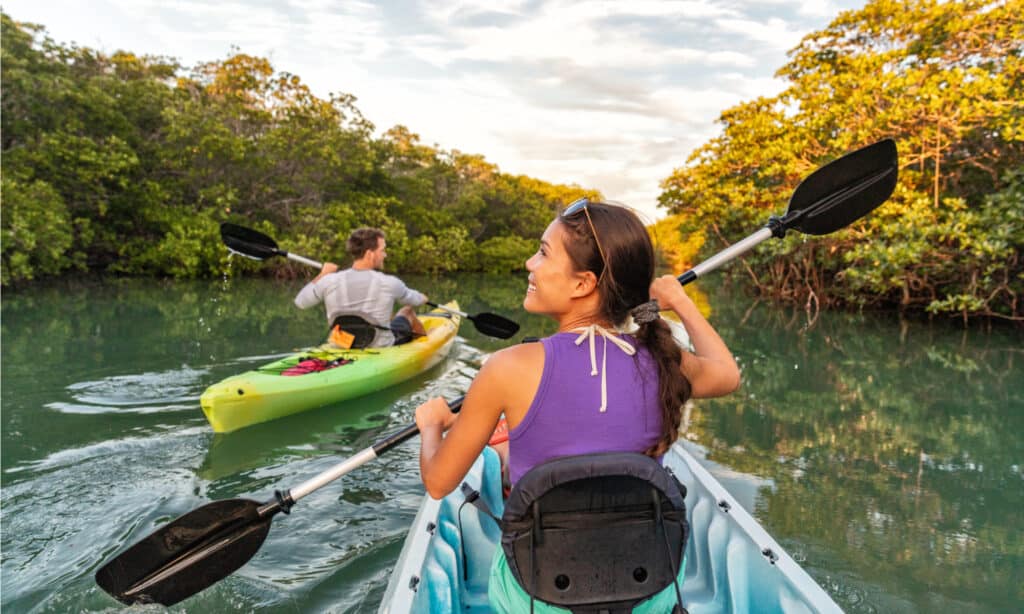 Parco nazionale delle Everglades - Kayak