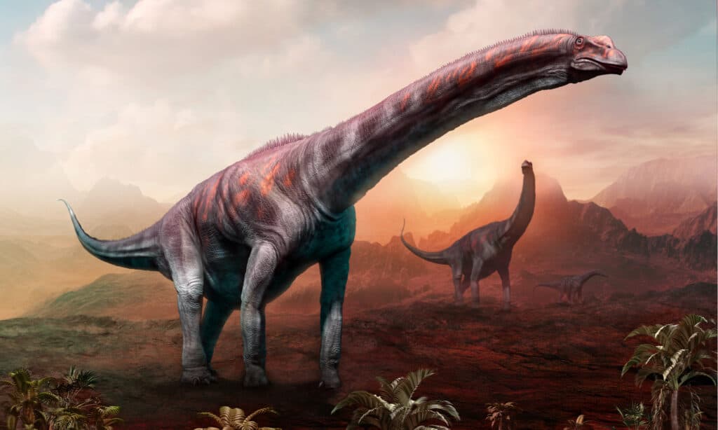 argentinosaurus vs balenottera azzurra