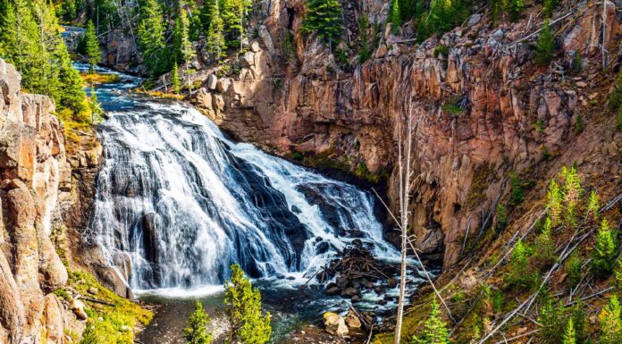 Yellowstone in ottobre: ​​cose da fare, meteo e altro
