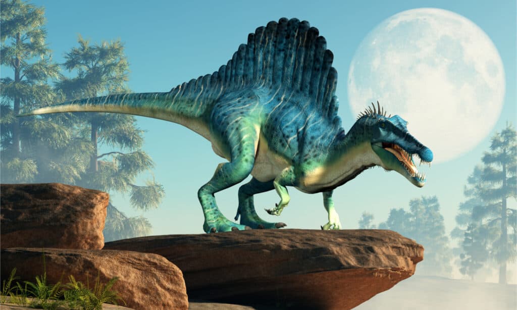 Illustrazione di Spinosaurus su una scogliera davanti a una luna piena