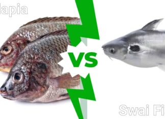 Swai Fish vs Tilapia
