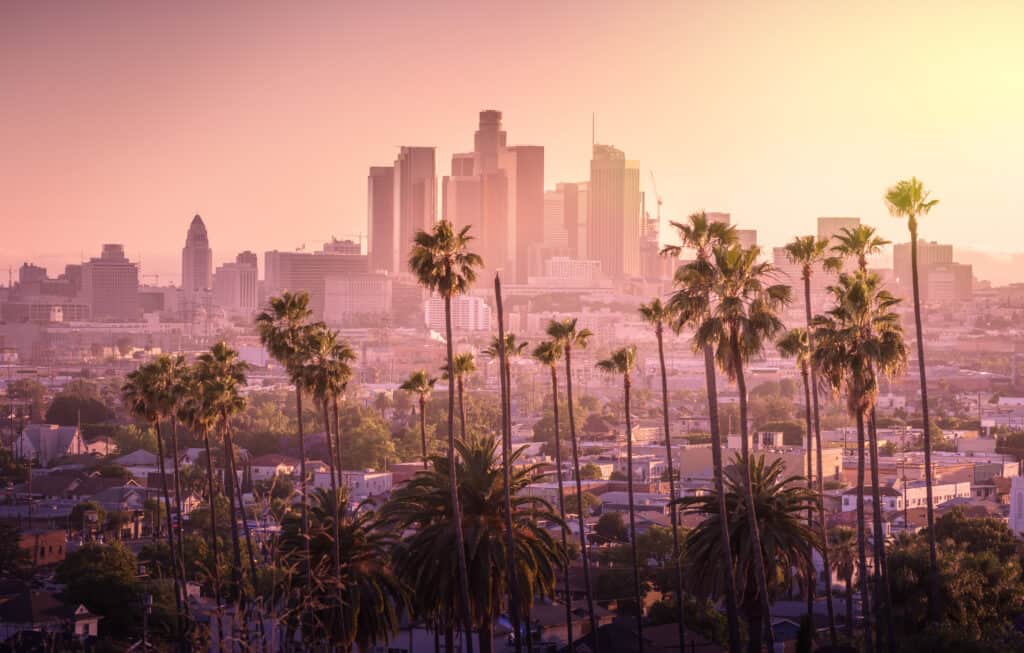 Bel tramonto dello skyline del centro di Los Angeles e delle palme in primo piano