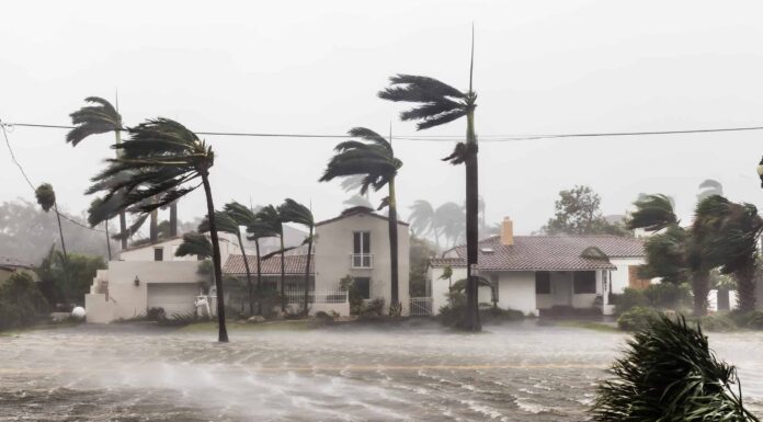 Spiegazione di ciascuna categoria di uragani, da 1 a 5
