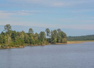 Scopri il lago più profondo del Mississippi

