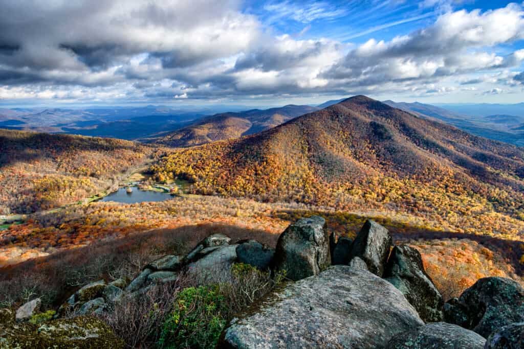 Picco acuto in Virginia