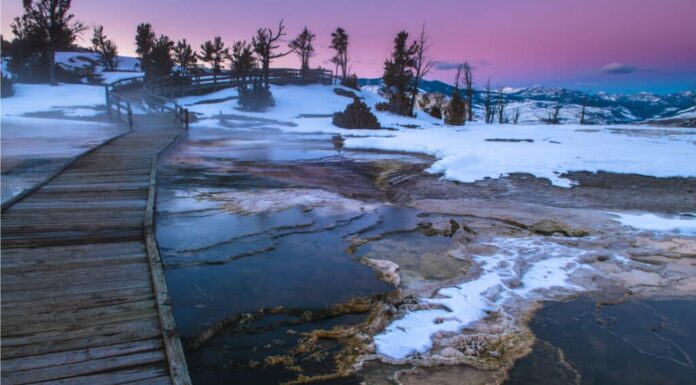 Yellowstone in Winter