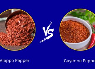 Aleppo Pepper vs Cayenne: qual è la differenza?
