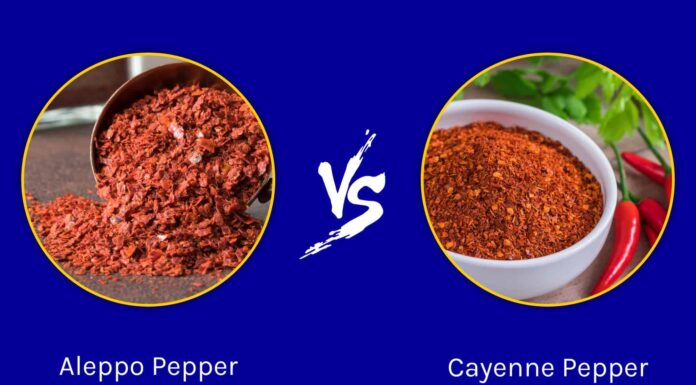 Aleppo Pepper vs Cayenne: qual è la differenza?
