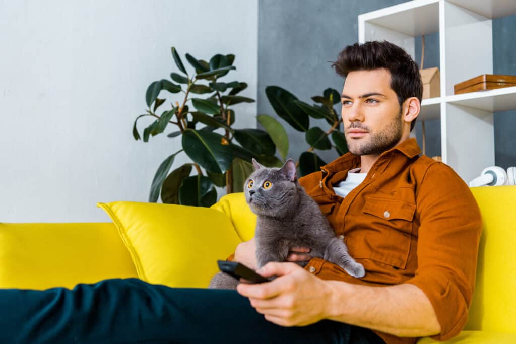 Uomo su un divano giallo con in mano un telecomando e un gatto grigio