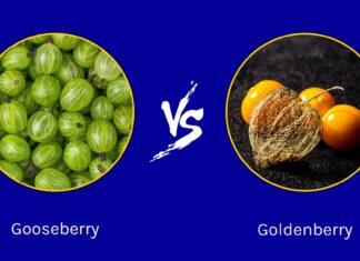 Uva spina contro Goldenberry: c'è una differenza?
