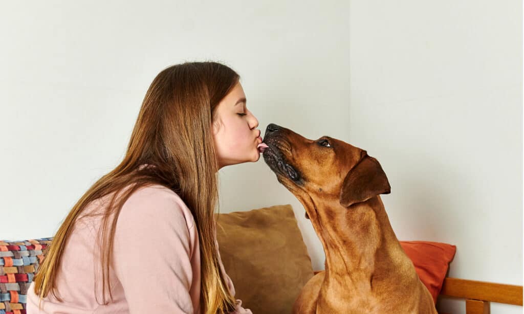 Giovane donna leccata sul viso dal suo cane
