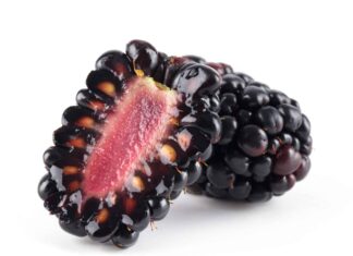 blackberry seeds