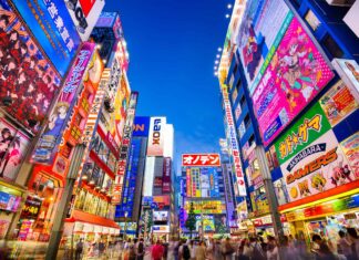 Scopri le 6 città più grandi del Giappone
