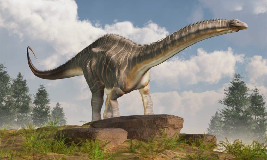 Rendering 3D di Apatosaurus
