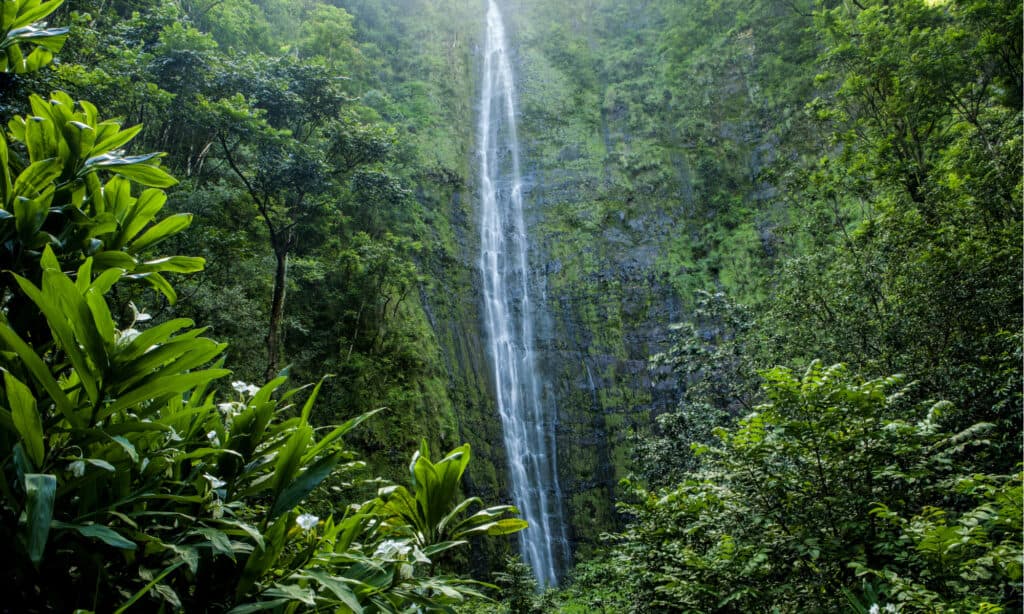 Parco nazionale di Haleakala a Maui