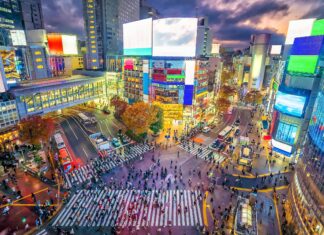 Scopri le 12 città più popolate del Giappone
