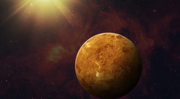 Guarda quanto lontano potresti saltare e quanto saresti forte sulla superficie di Venere
