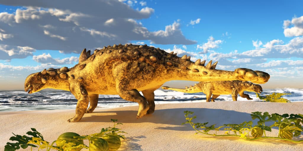 Euoplocephalus era un altro dinosauro tireoforo con un'armatura sul corpo