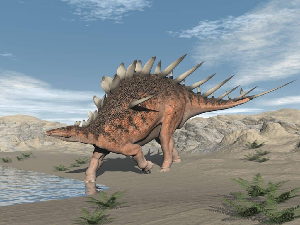 Il Kentrosaurus aveva punte impressionanti sul suo corpo per proteggersi dai predatori