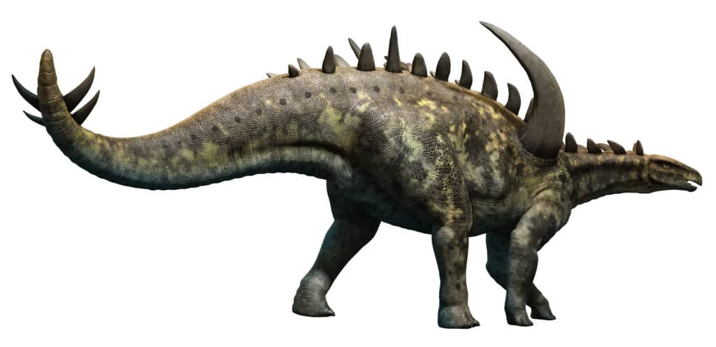 Gigantspinosaurus aveva grandi spine ossee sulle spalle e altre armature ossee