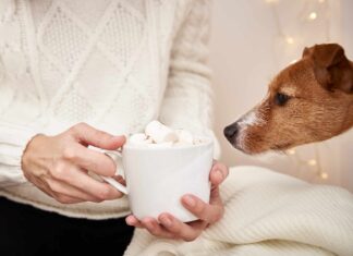  I cani possono mangiare i marshmallow in sicurezza?  Quali sono i pericoli?
