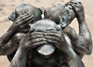 See No Evil, Hear No Evil, Speak No Evil Monkeys: significato e origini
